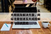 网站流量低迷？揭秘五大原因及解决方案，网站流量低迷五大成因解析与突破策略
