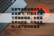 合肥专业商业网站助力企业腾飞，打造线上线下营销新格局，合肥商业网站赋能，引领企业线上线下营销新篇章