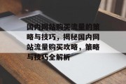 国内网站购买流量的策略与技巧，揭秘国内网站流量购买攻略，策略与技巧全解析