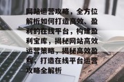 网站运营攻略，全方位解析如何打造高效、盈利的在线平台，构建盈利宝库，揭秘网站高效运营策略，揭秘高效盈利，打造在线平台运营攻略全解析