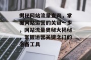 揭秘网站流量查询，掌握网站运营的关键一步，网站流量奥秘大揭秘，掌握运营关键之门的必备工具