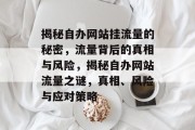 揭秘自办网站挂流量的秘密，流量背后的真相与风险，揭秘自办网站流量之谜，真相、风险与应对策略