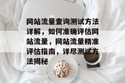 网站流量查询测试方法详解，如何准确评估网站流量，网站流量精准评估指南，详尽测试方法揭秘
