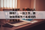 一文详解,野摊做什么赚钱?,一份工作,揭秘如何成为一名成功的野摊摊主 一文详解,野摊做什么赚钱?,一份工作,揭秘如何成为一名成功的野摊摊主