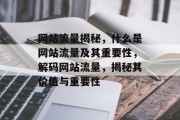 网站流量揭秘，什么是网站流量及其重要性，解码网站流量，揭秘其价值与重要性