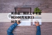 长白山:预计上半年盈利2000万元到2300万元 长白山:预计上半年盈利2000万元到2300万元