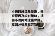 小说网站流量暴跌，探究原因及应对策略，揭秘小说网站流量骤降，原因分析及复苏攻略