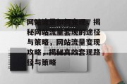 网站流量如何变现，揭秘网站流量套现的途径与策略，网站流量变现攻略，揭秘高效套现路径与策略