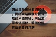 网站流量统计名词解析，揭秘网站数据分析背后的术语奥秘，网站流量术语揭秘，数据分析背后的名词详解