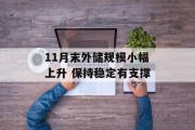 11月末外储规模小幅上升 保持稳定有支撑 11月末外储规模小幅上升 保持稳定有支撑