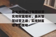 县长如何通过智慧经营实现财富增长，县长智慧经营之道，实现财富增长的策略