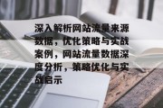 深入解析网站流量来源数据，优化策略与实战案例，网站流量数据深度分析，策略优化与实战启示