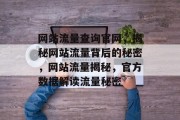 网站流量查询官网，揭秘网站流量背后的秘密，网站流量揭秘，官方数据解读流量秘密