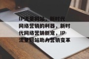 IP流量网站，新时代网络营销的利器，新时代网络营销新宠，IP流量网站助力营销变革