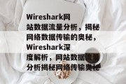 Wireshark网站数据流量分析，揭秘网络数据传输的奥秘，Wireshark深度解析，网站数据流量分析揭秘网络传输奥秘