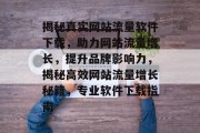 揭秘真实网站流量软件下载，助力网站流量增长，提升品牌影响力，揭秘高效网站流量增长秘籍，专业软件下载指南