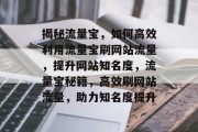 揭秘流量宝，如何高效利用流量宝刷网站流量，提升网站知名度，流量宝秘籍，高效刷网站流量，助力知名度提升