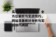 实现网站流量统计，全方位解析与实战技巧，网站流量统计分析与实战技巧揭秘
