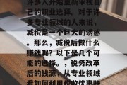 在税务改革的浪潮下,许多人开始重新审视自己的职业选择。对于许多专业领域的人来说,减税是一个巨大的诱惑。那么,减税后做什么赚钱呢?以下是几个可能的选择。,税务改革后的钱源,从专业领域看如何利用税收优惠赚取更多 在税务改革的浪潮下,许多人开始重新审视自己的职业选择。对于许多专业领域的人来说,减税是一个巨大的诱惑。那么,减税后做什么赚钱呢?以下是几个可能的选择。,税务改革后的钱源,从专业领域看如何利用税收优惠赚取更多