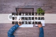 网站建了没流量怎么回事？，网站流量不足的原因分析及解决策略