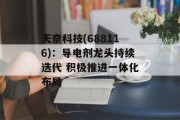 天奈科技(688116):导电剂龙头持续迭代 积极推进一体化布局 天奈科技(688116):导电剂龙头持续迭代 积极推进一体化布局
