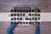 网站平台流量查看，掌握数据分析，提升网站运营效率，网站流量分析与运营效率提升之道