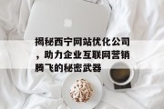 揭秘西宁网站优化公司,助力企业互联网营销腾飞的秘密武器 揭秘西宁网站优化公司,助力企业互联网营销腾飞的秘密武器
