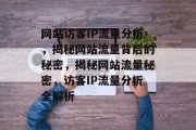 网站访客IP流量分析，揭秘网站流量背后的秘密，揭秘网站流量秘密，访客IP流量分析全解析