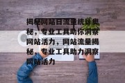揭秘网站日流量统计奥秘，专业工具助你洞察网站活力，网站流量揭秘，专业工具助力洞察网站活力