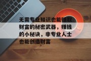 无需专业知识也能赚取财富的秘密武器,赚钱的小秘诀,非专业人士也能创造财富 无需专业知识也能赚取财富的秘密武器,赚钱的小秘诀,非专业人士也能创造财富