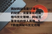 揭秘网站流量5T背后的秘密，流量背后的真相与优化策略，网站流量背后的惊人真相，5T数据揭秘与优化攻略