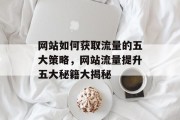 网站如何获取流量的五大策略,网站流量提升五大秘籍大揭秘 网站如何获取流量的五大策略,网站流量提升五大秘籍大揭秘