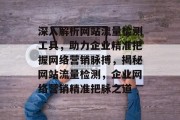 深入解析网站流量检测工具，助力企业精准把握网络营销脉搏，揭秘网站流量检测，企业网络营销精准把脉之道