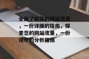 全面了解你的网站流量，一份详细的指南，探索您的网站流量，一份详尽的分析指南