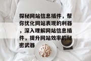 探秘网站信息插件,帮你优化网站表现的利器,深入理解网站信息插件,提升网站效率的秘密武器 探秘网站信息插件,帮你优化网站表现的利器,深入理解网站信息插件,提升网站效率的秘密武器