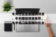 冬天什么生意赚钱项目,冬天赚钱项目推荐,冬季热门生意赚钱机会 冬天什么生意赚钱项目,冬天赚钱项目推荐,冬季热门生意赚钱机会