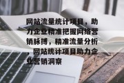 网站流量统计项目，助力企业精准把握网络营销脉搏，精准流量分析，网站统计项目助力企业营销洞察