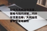 如何与大网站分流量，策略与技巧详解，巧妙分流量攻略，大网站流量争夺策略解析
