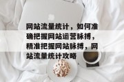 网站流量统计，如何准确把握网站运营脉搏，精准把握网站脉搏，网站流量统计攻略