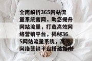 全面解析365网站流量系统官网，助您提升网站流量，打造高效网络营销平台，揭秘365网站流量系统，高效网络营销平台搭建指南
