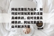 网站流量压力山大，如何应对突如其来的流量高峰挑战，应对流量高峰挑战，网站流量压力山大解决方案