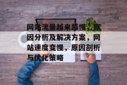 网站流量越来越慢，原因分析及解决方案，网站速度变慢，原因剖析与优化策略