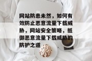 网站防患未然，如何有效防止恶意流量下载威胁，网站安全策略，抵御恶意流量下载威胁的防护之道