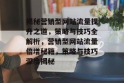 揭秘营销型网站流量提升之道，策略与技巧全解析，营销型网站流量倍增秘籍，策略与技巧深度揭秘