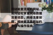 揭秘能查流量的网站，如何轻松掌握网络数据流量动态，网络流量侦探，揭秘查流量网站的奥秘与操作指南