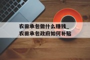 农田承包做什么赚钱_农田承包政府如何补贴 农田承包做什么赚钱_农田承包政府如何补贴