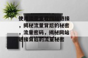 使用流量查看网站链接，揭秘流量背后的秘密，流量密码，揭秘网站链接背后的流量秘密