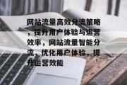 网站流量高效分流策略，提升用户体验与运营效率，网站流量智能分流，优化用户体验，提升运营效能