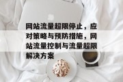网站流量超限停止，应对策略与预防措施，网站流量控制与流量超限解决方案