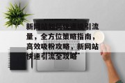 新网站如何快速吸引流量，全方位策略指南，高效吸粉攻略，新网站快速引流全攻略